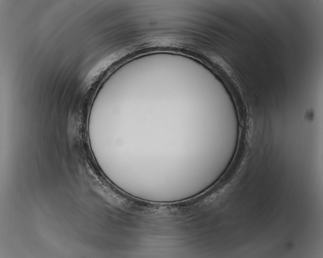 X0000116650922200912291613