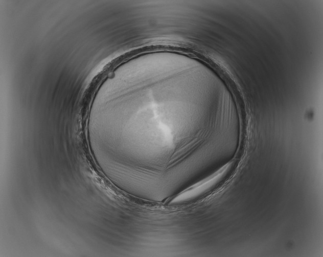 X0000116650923200912291613