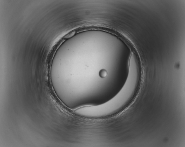 X0000116650925200912291613