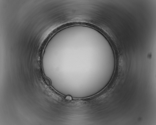 X0000116650926200912291613