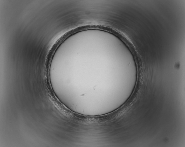 X0000116650927200912291613