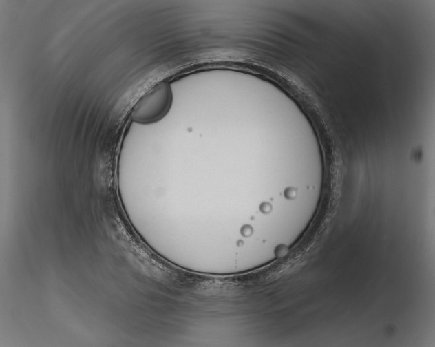 X0000116650929200912291613