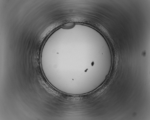 X0000116650930200912291613