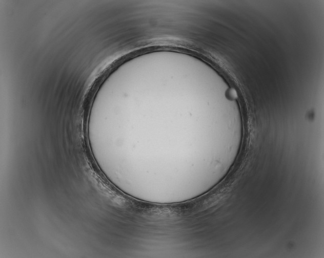 X0000116650931200912291613