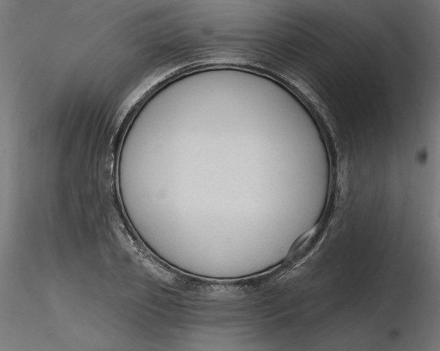 X0000116650933200912291613