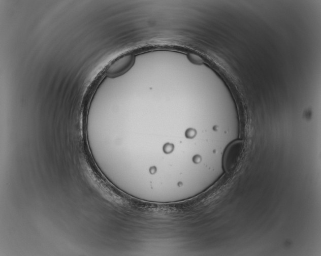 X0000116650934200912291613