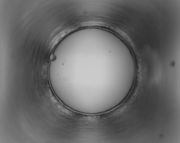 X0000116650937200912291613