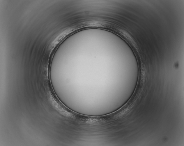 X0000116650938200912291613