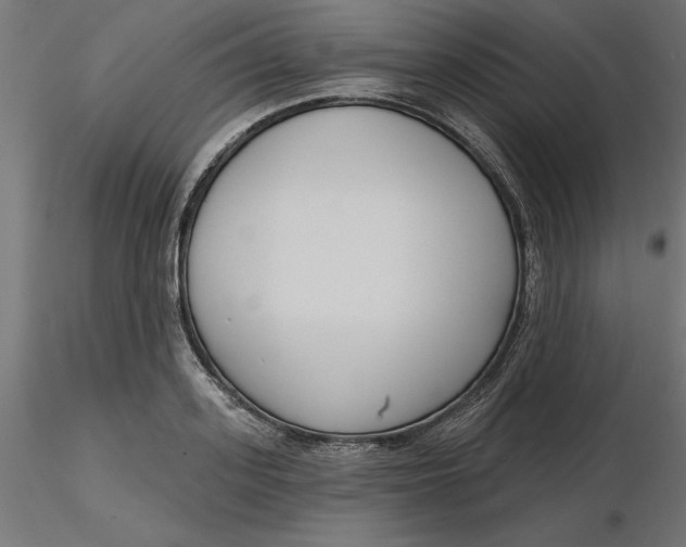 X0000116650939200912291613