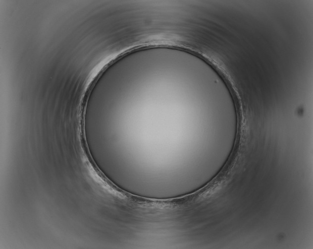 X0000116650941200912291613