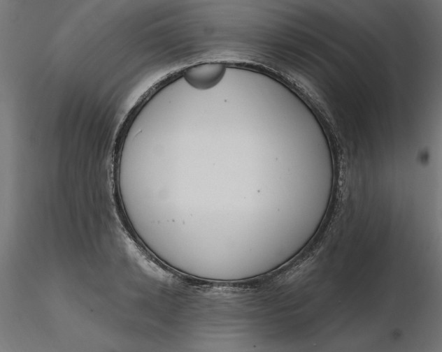 X0000116650942200912291613