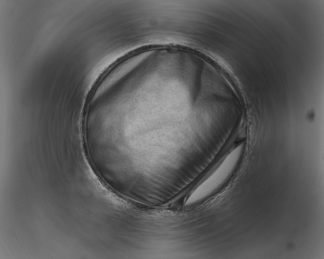 X0000116650943200912291613