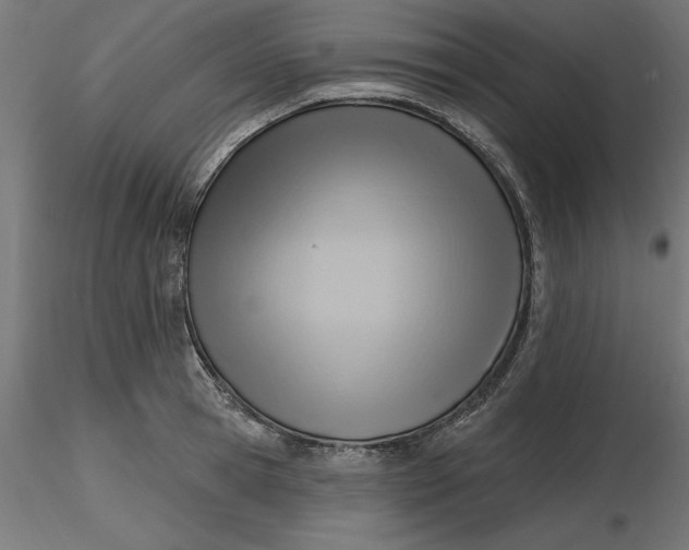 X0000116650945200912291613