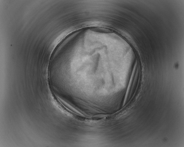 X0000116650946200912291613