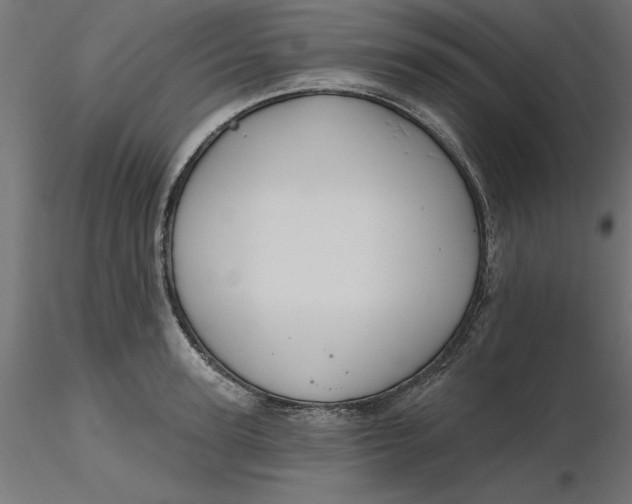 X0000116650947200912291613