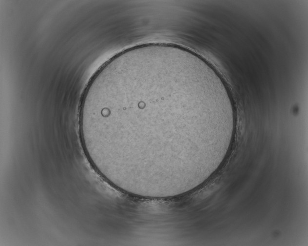 X0000116650950200912291613