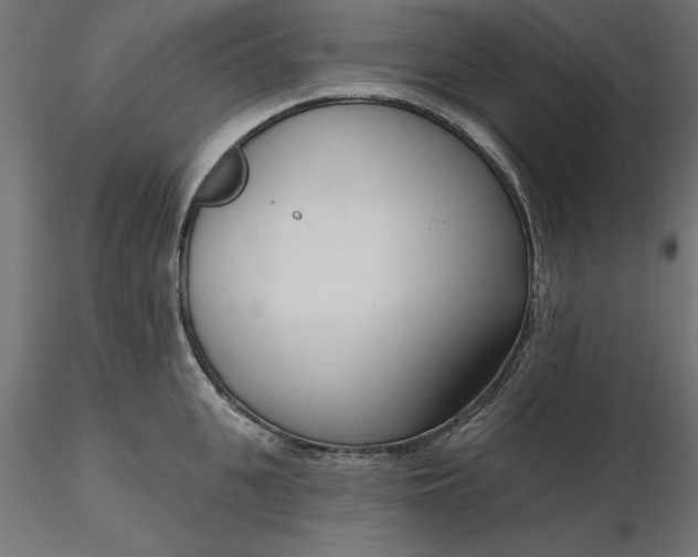 X0000116650951200912291613