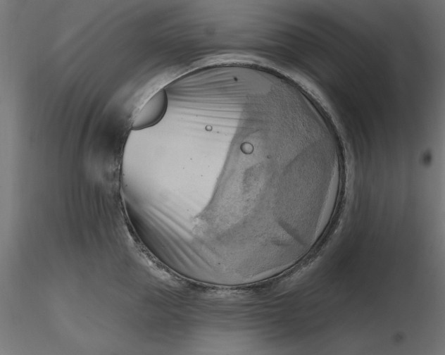 X0000116650953200912291613