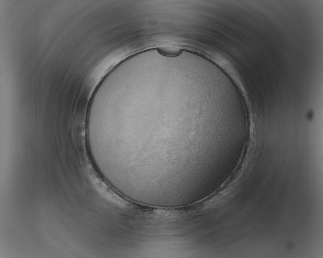 X0000116650954200912291613