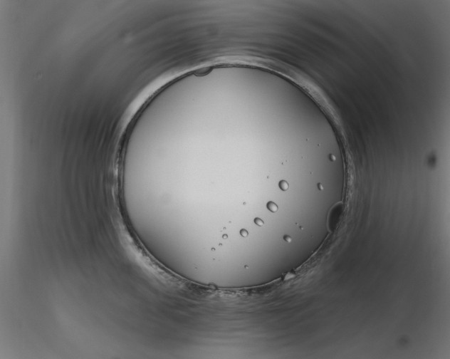 X0000116650955200912291613