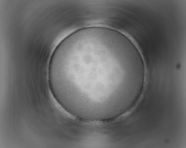 X0000116650957200912291613