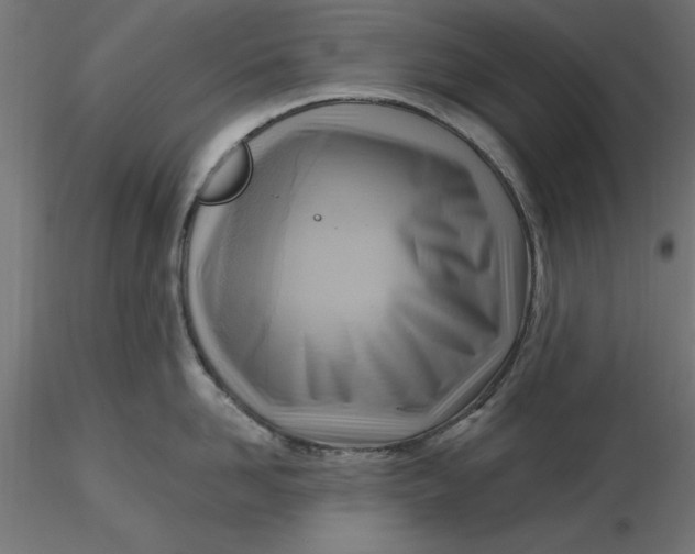 X0000116650958200912291613