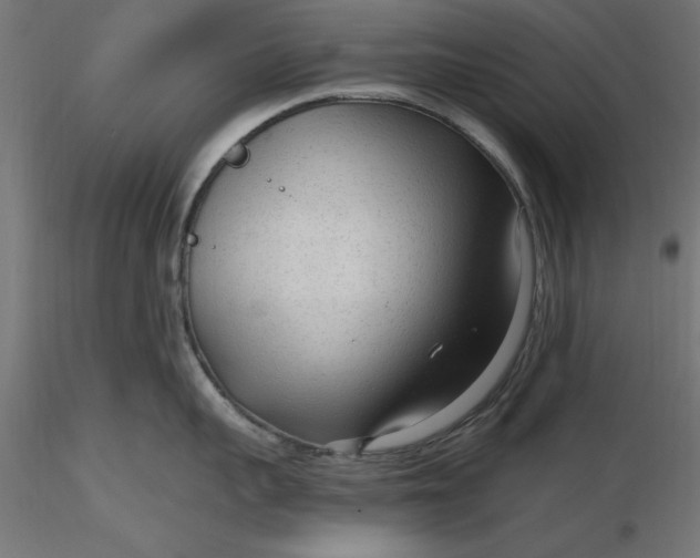 X0000116650959200912291613