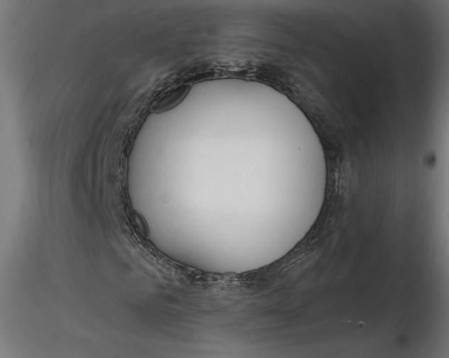 X0000116650961200912291613