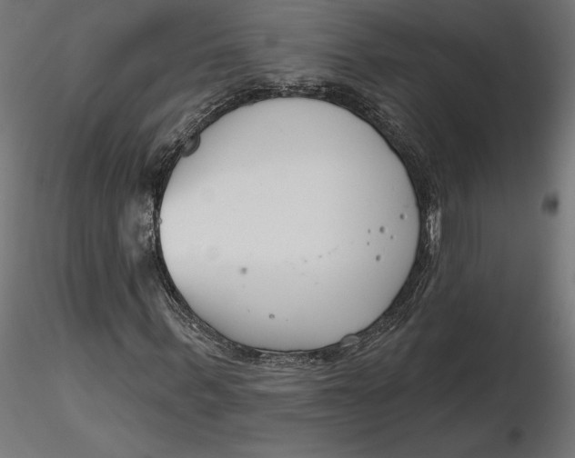 X0000116650963200912291613