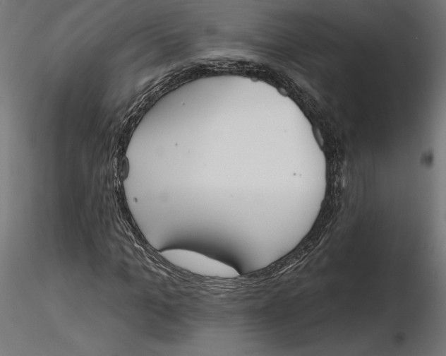 X0000116650965200912291613