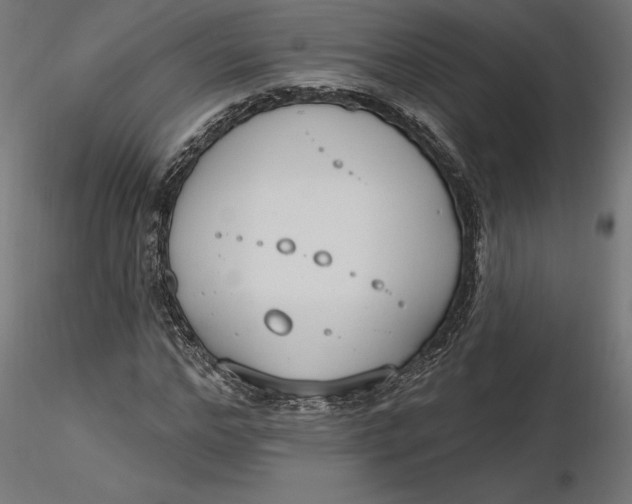 X0000116650968200912291613