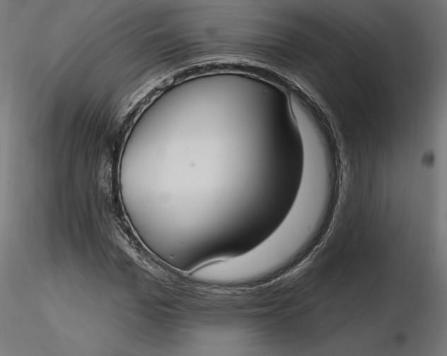 X0000116650969200912291613