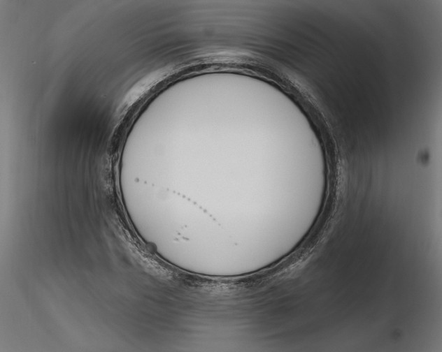 X0000116650970200912291613