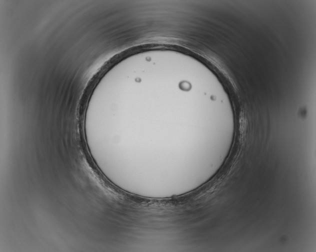 X0000116650972200912291613