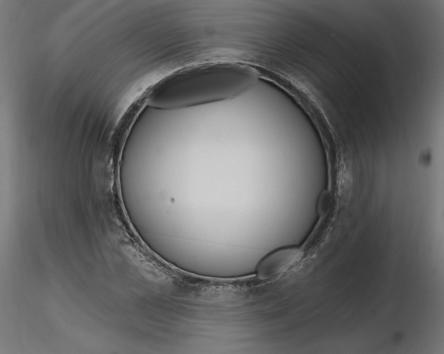 X0000116650973200912291613