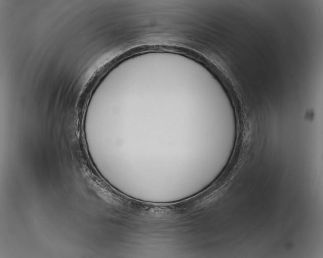 X0000116650974200912291613