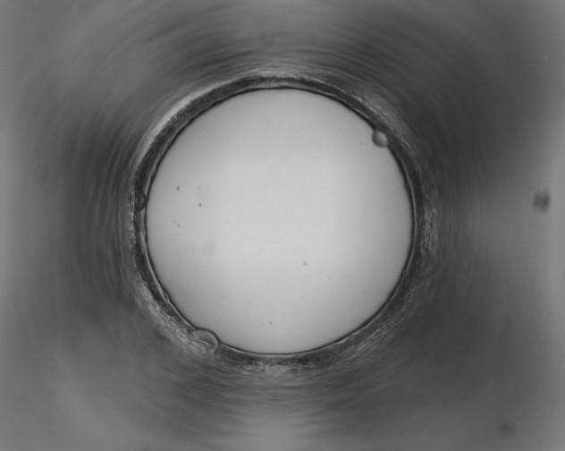 X0000116650976200912291612