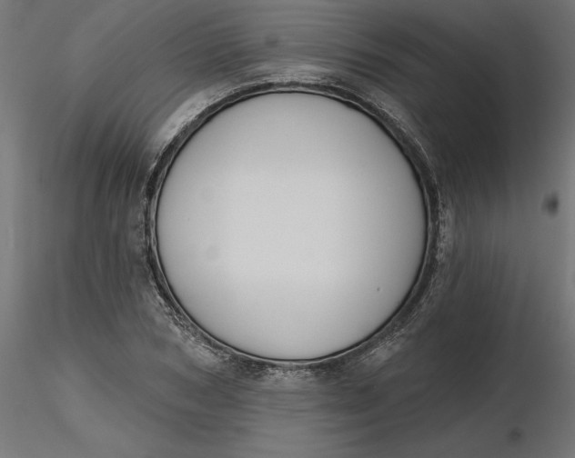 X0000116650978200912291612