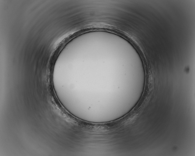 X0000116650979200912291612