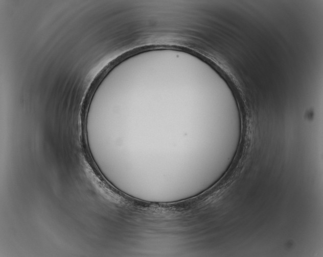 X0000116650980200912291612