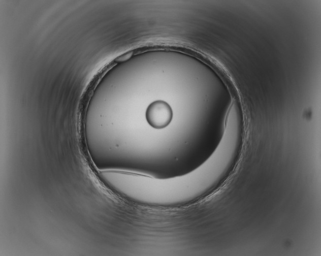 X0000116650981200912291612