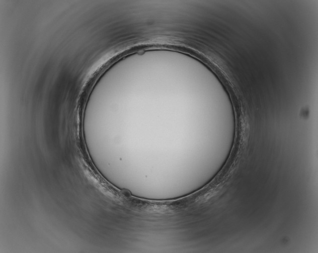 X0000116650982200912291612