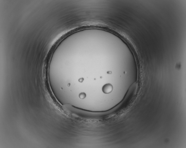 X0000116650983200912291612