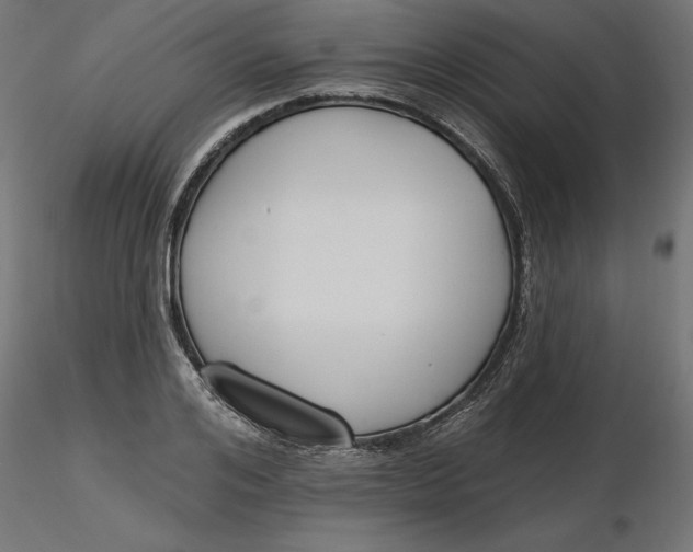 X0000116650984200912291612