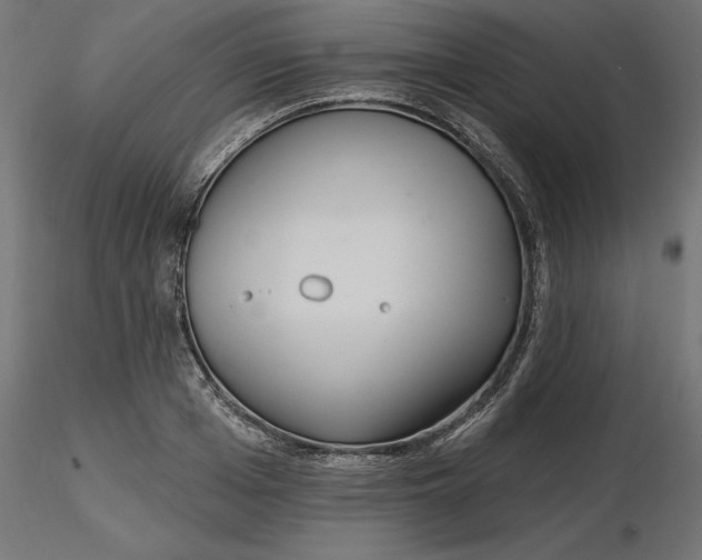 X0000116650985200912291612