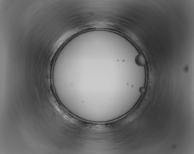 X0000116650986200912291612