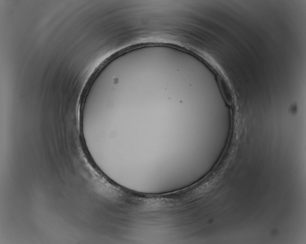 X0000116650988200912291612