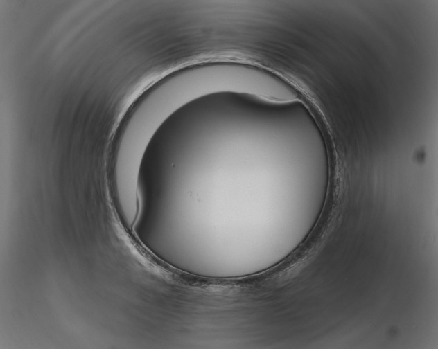 X0000116650989200912291612