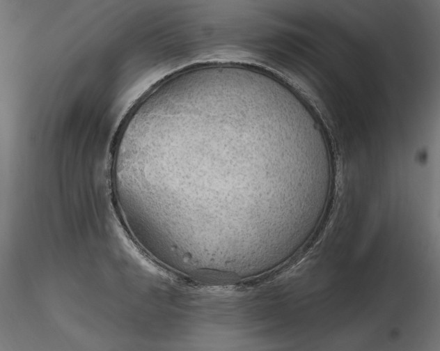 X0000116650990200912291612