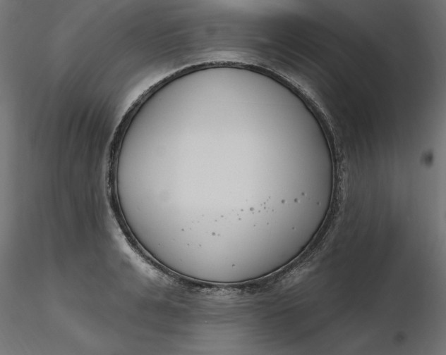 X0000116650991200912291612